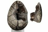 9.2" Septarian "Dragon Egg" Geode - Removable Section - #203829-2